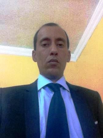 ولد سيدي أحمد عضوا قياديا بحزب الاتحاد من أجل الجمهورية، وسبق له أن شغل عضوية مكتبه التنفيذي