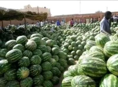 سقوط حاوية على شارع عام بمقاطعة دار النعيم