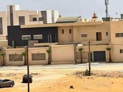 الشاعر ولد يونس يعلق بنص أدبي على منزل الرئيس